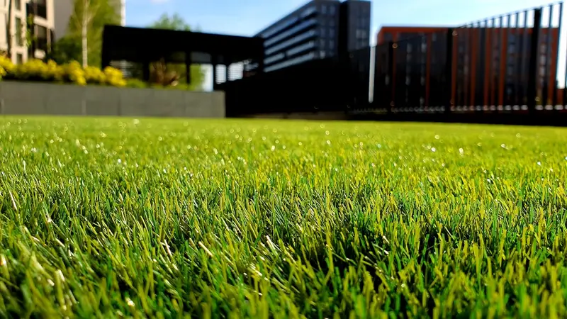 ChatGPT Ads for Landscaping & Lawn Care
